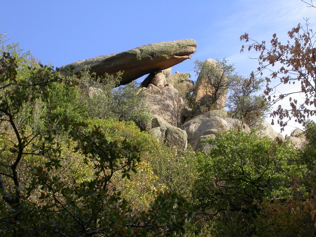 albuquerque, high desert,el tiburon