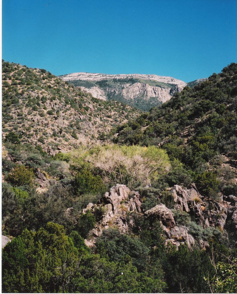 Cañon del Agua, Sandia Mountains