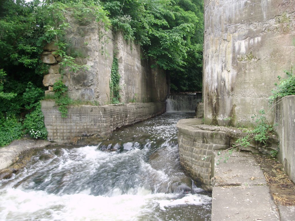 Akron