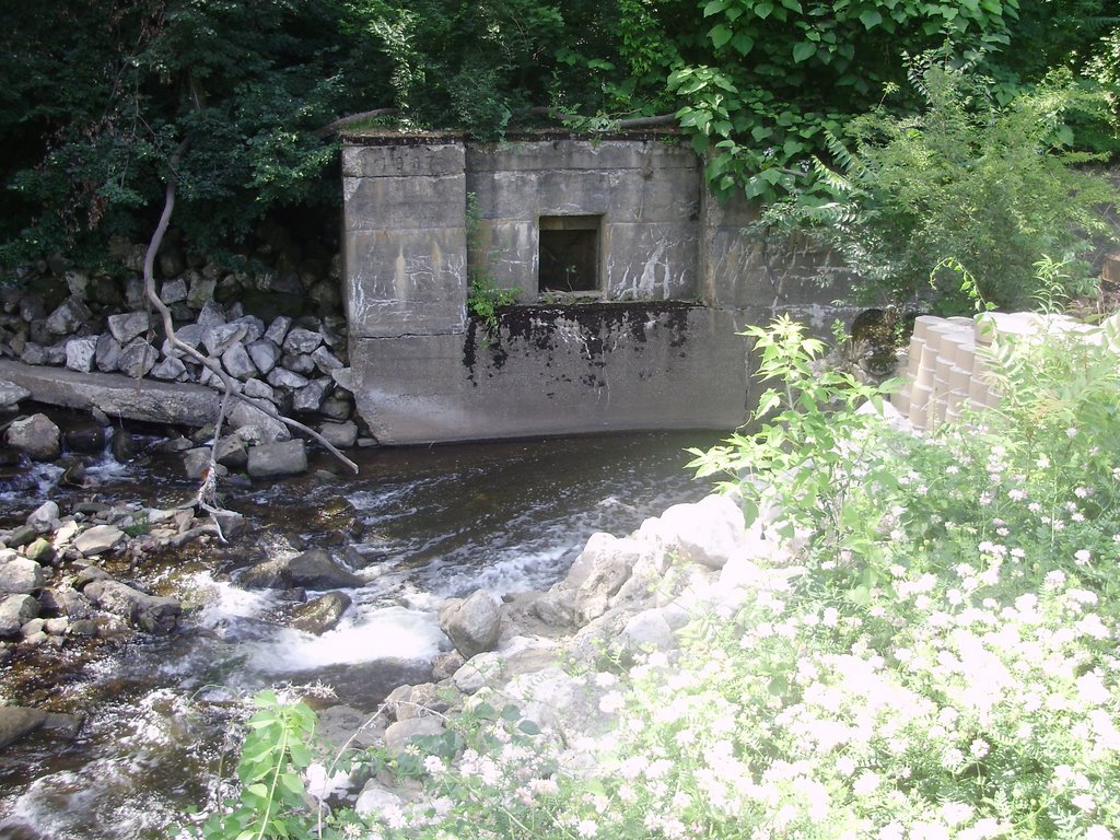 ERIE CANAL(IRI KANAL)