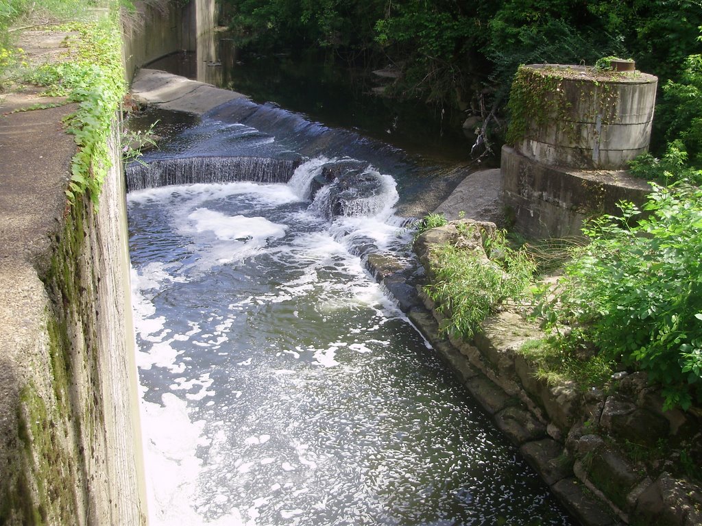ERIE CANAL(IRI   KANAL)