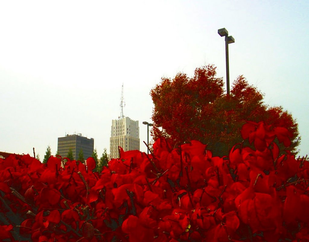 Naturally Red