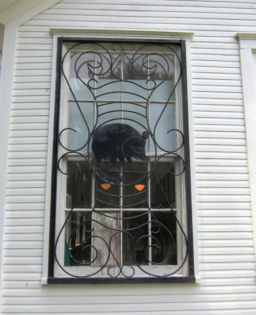 School Window with Raccoon Iron Work Grill