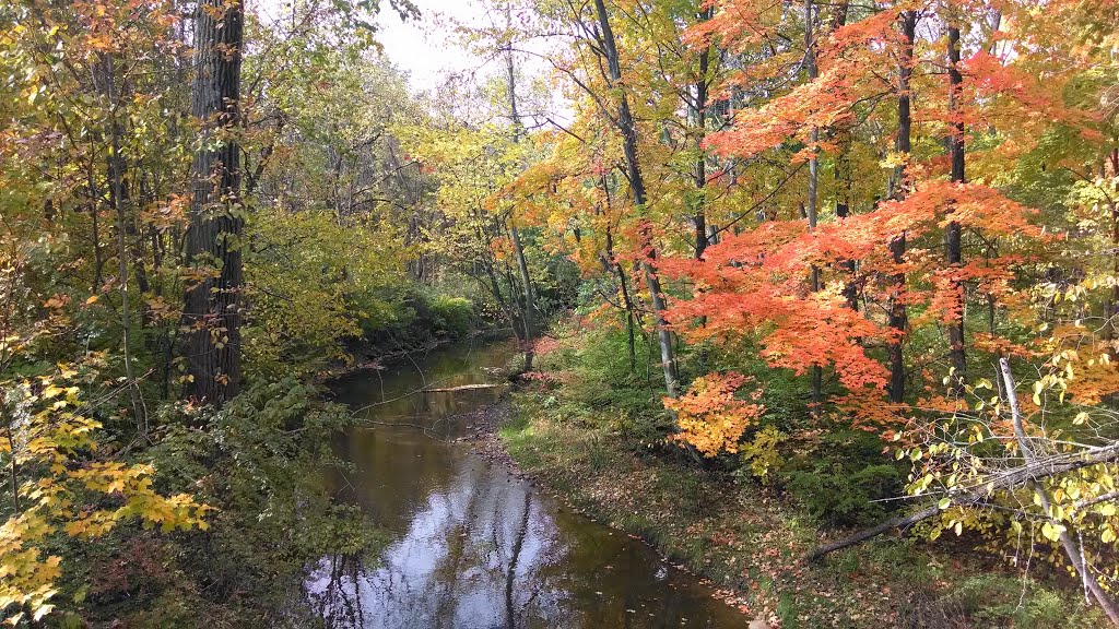 Beaver Creek in the Fall
