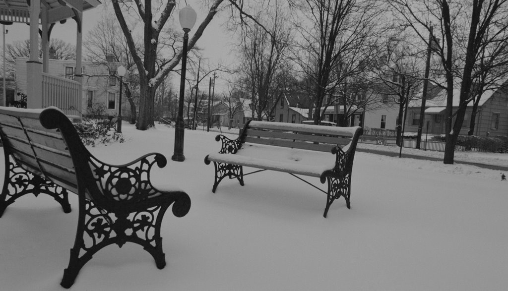 Snowy Park