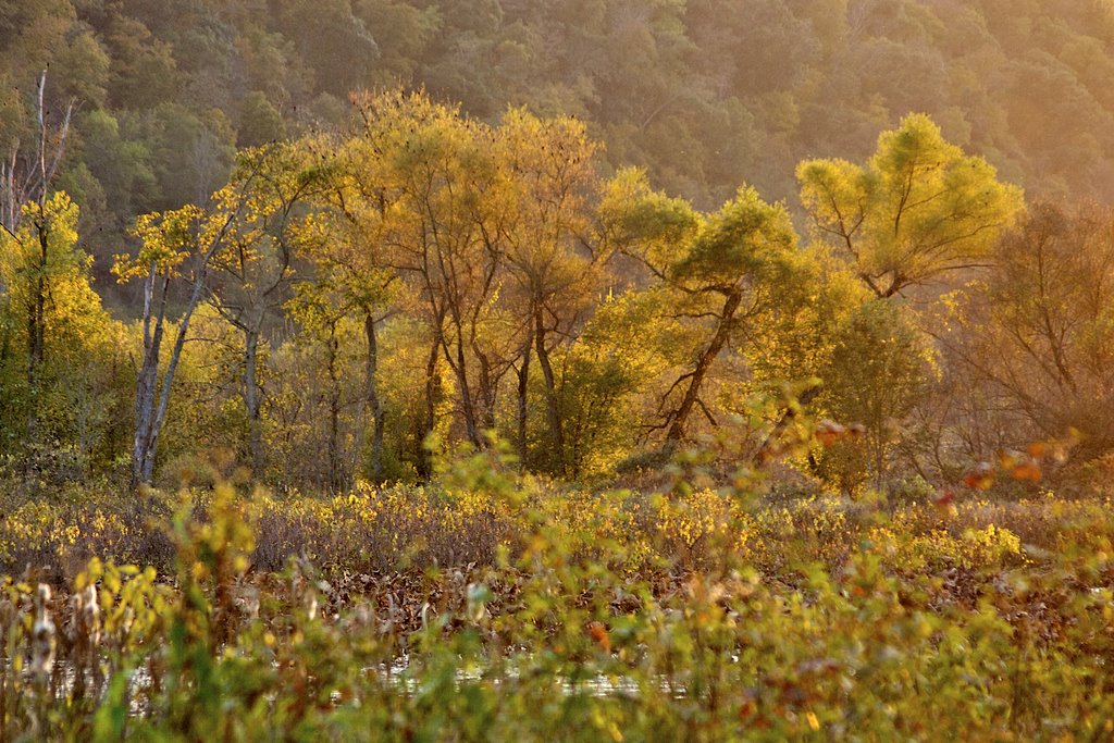 Last Light of Day