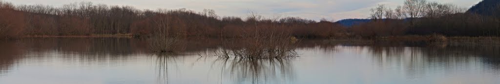 Back Pond in December
