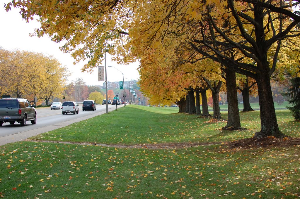 Fall in Athens 1