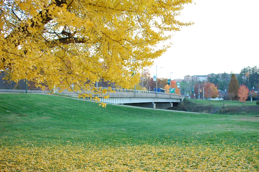 Fall in Athens 2