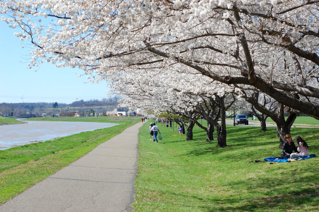 Bike Path 2