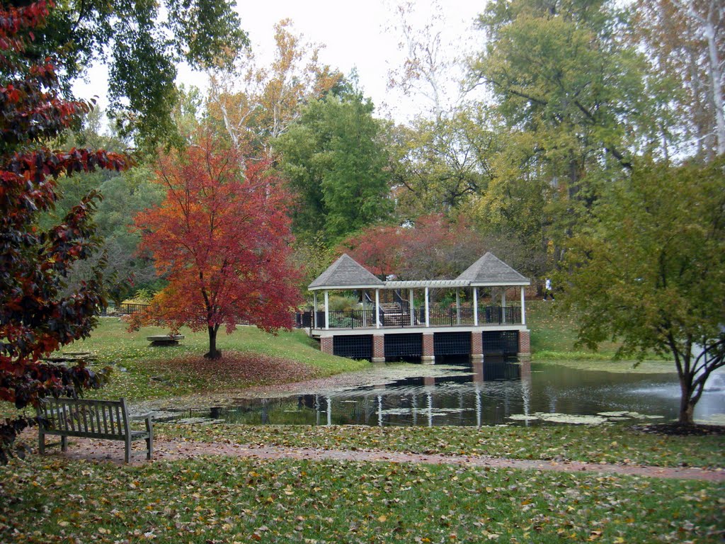 Ohio University-pond in fall