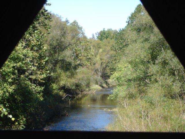 View From A Covered Bridge