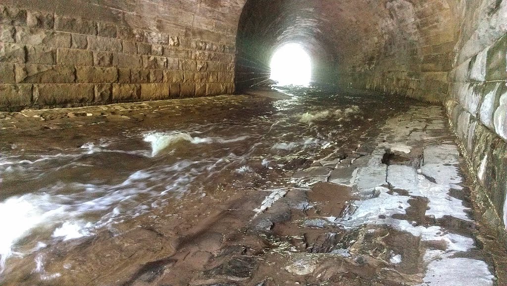 Inside the Viaduct