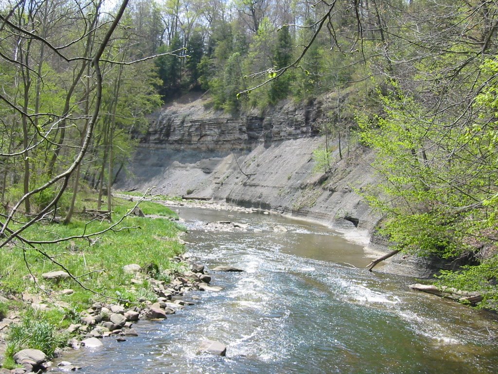 Egbert,Bedford Reservation