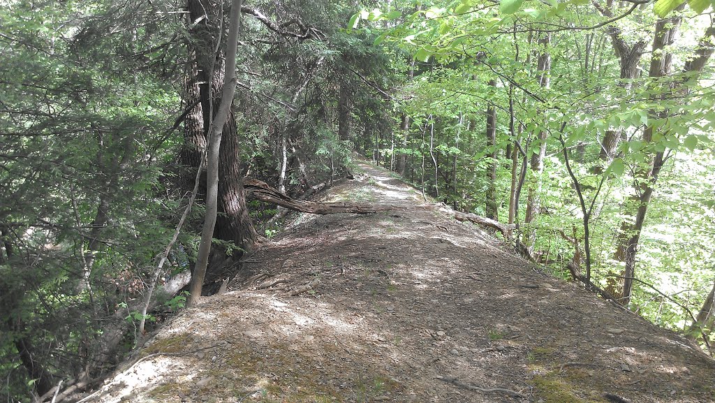 Trail atop a Ridge