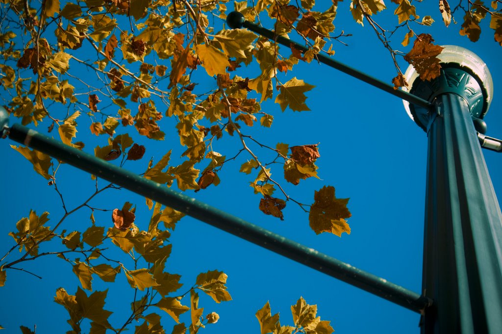Lampost in Autumn