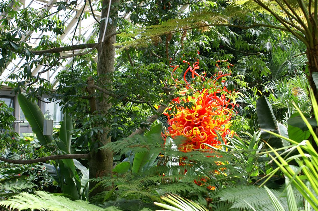 Dale Chihuly at the Franklin Conservatory