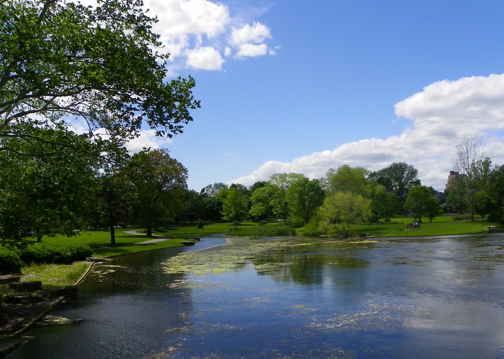 Franklin Park Pond