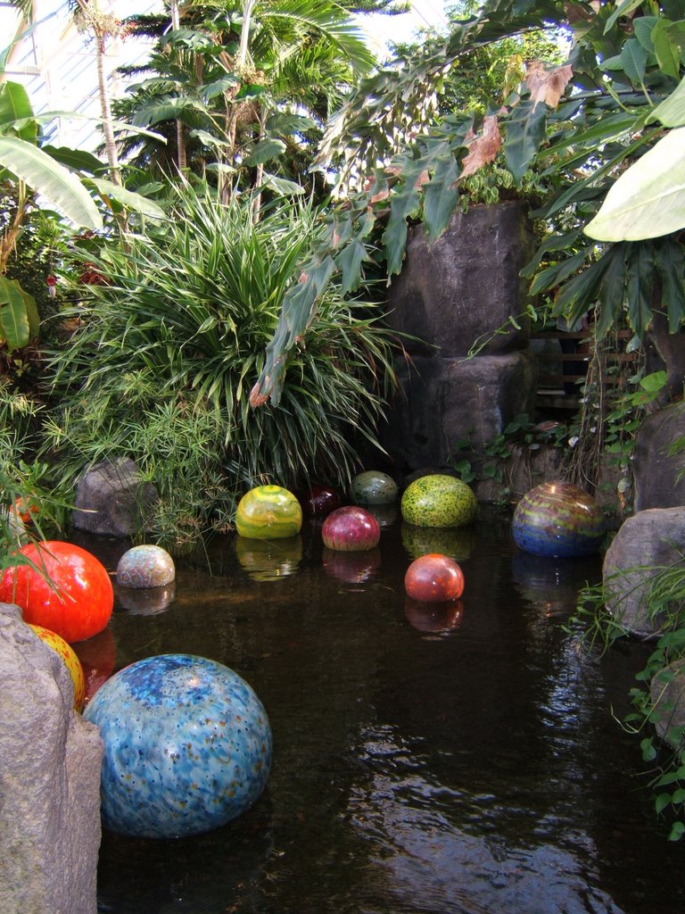 Annies Pond, Franklin Park Conservatory
