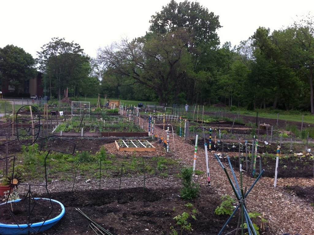 Bexley Community Garden