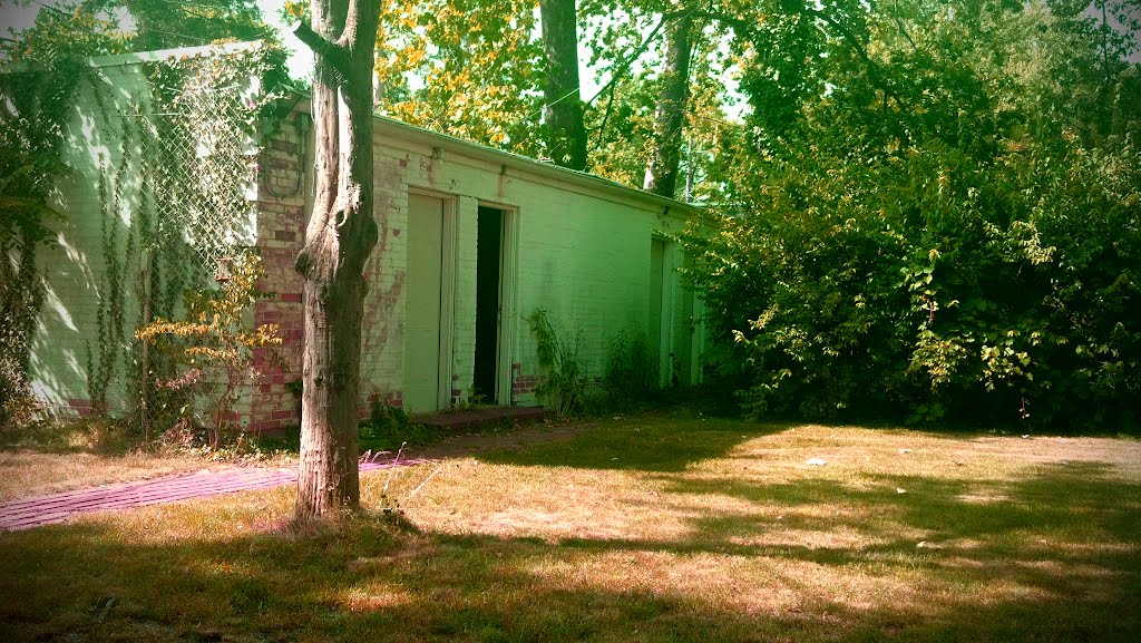 Backyard | Garage