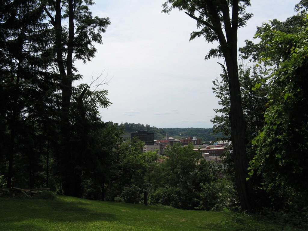 Parkersburg from Quincy Hill Park