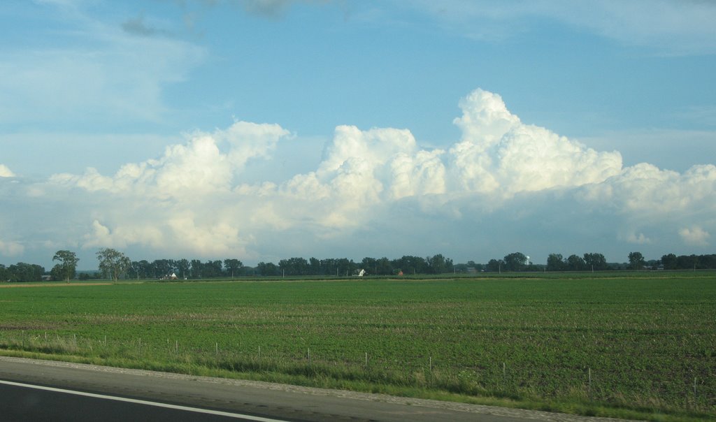Field in northern Ohio