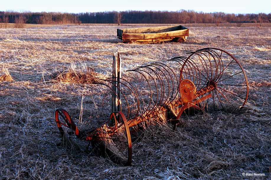 Fallow Field