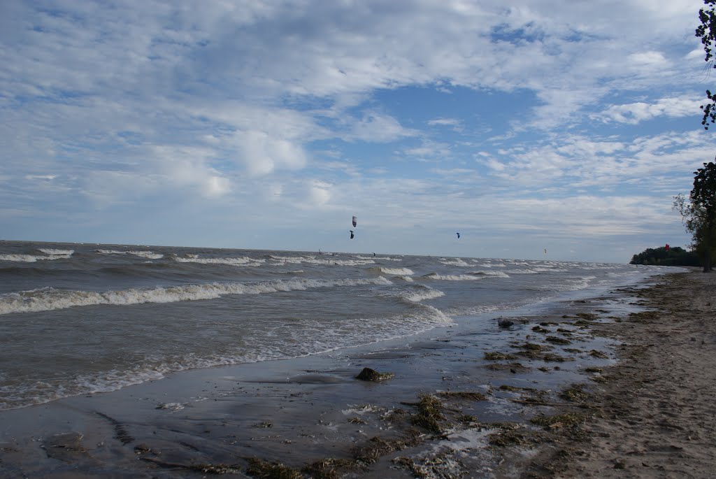 Lake Erie at Sterling State Park