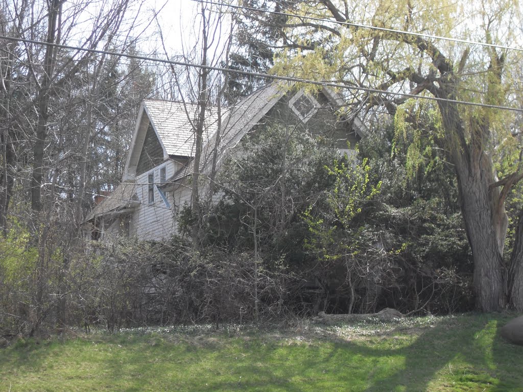 Hidden Victorian house.