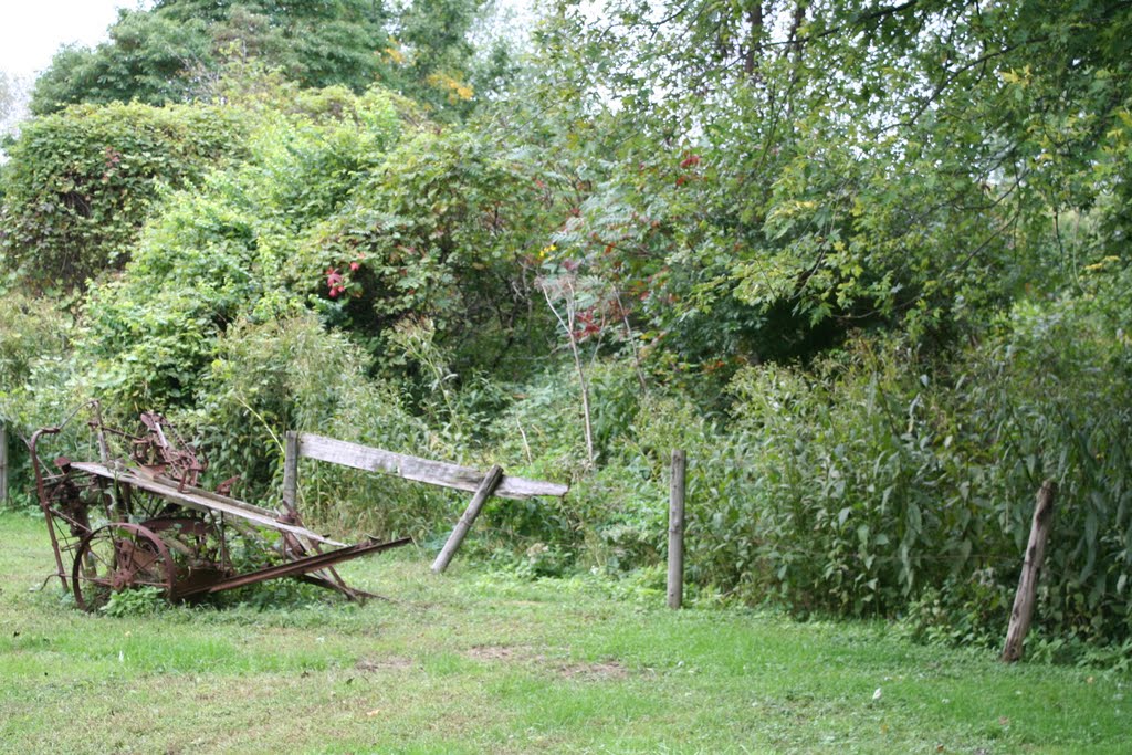 Farm remnants