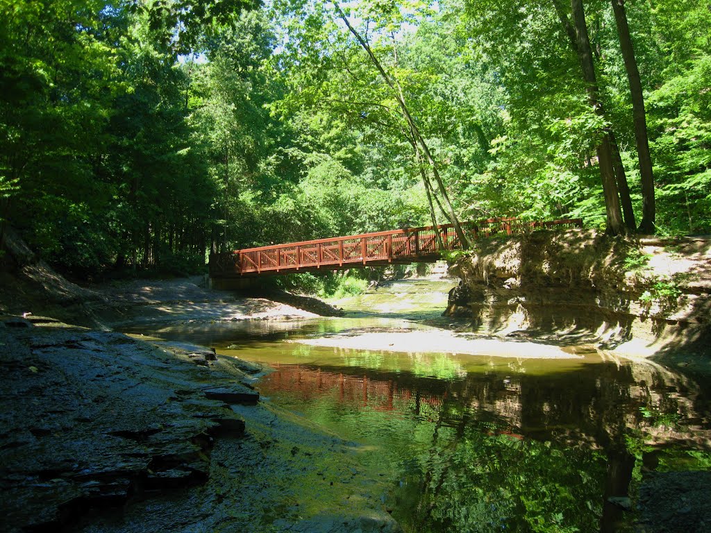 Knowone told me their was a bridge :(