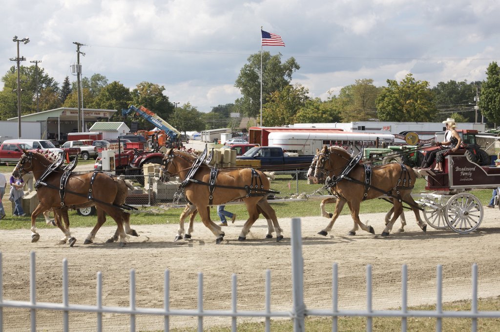 Wayne County Fair 2008