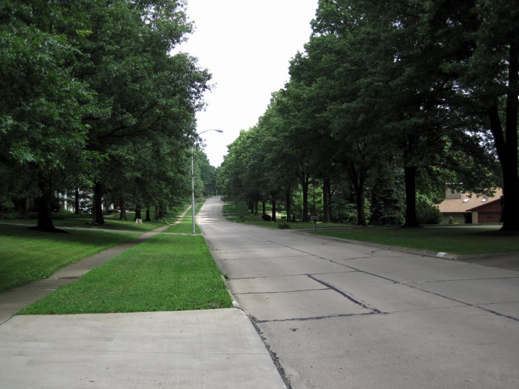 Christmas Run Boulevard mid