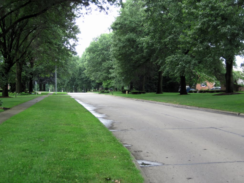 Oakley Street looking West