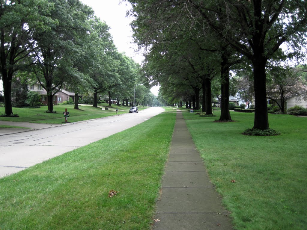 Saunders Drive North end
