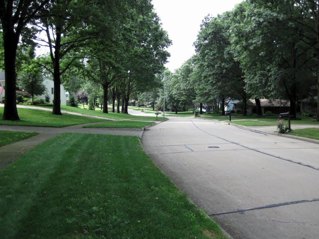 Arthur Drive North end