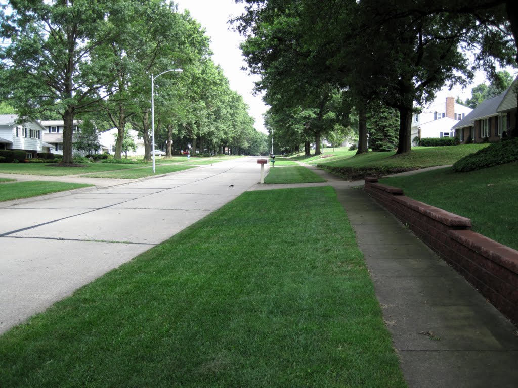 Saunders Drive South end