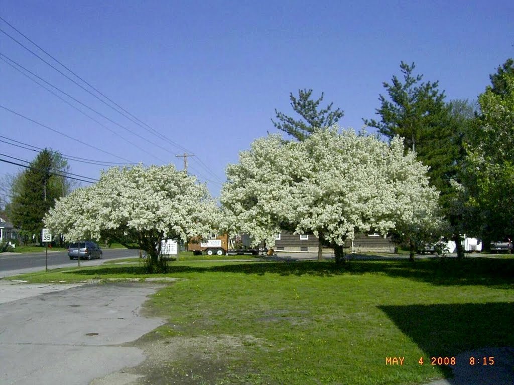 Spring in Clyde,Oh