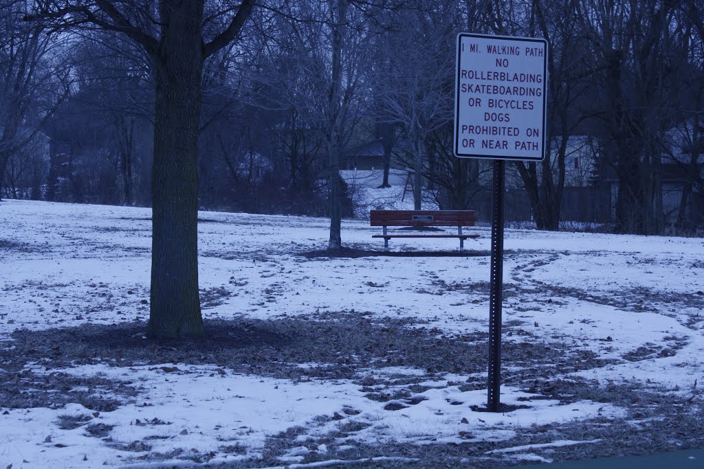 Winter Walking Path