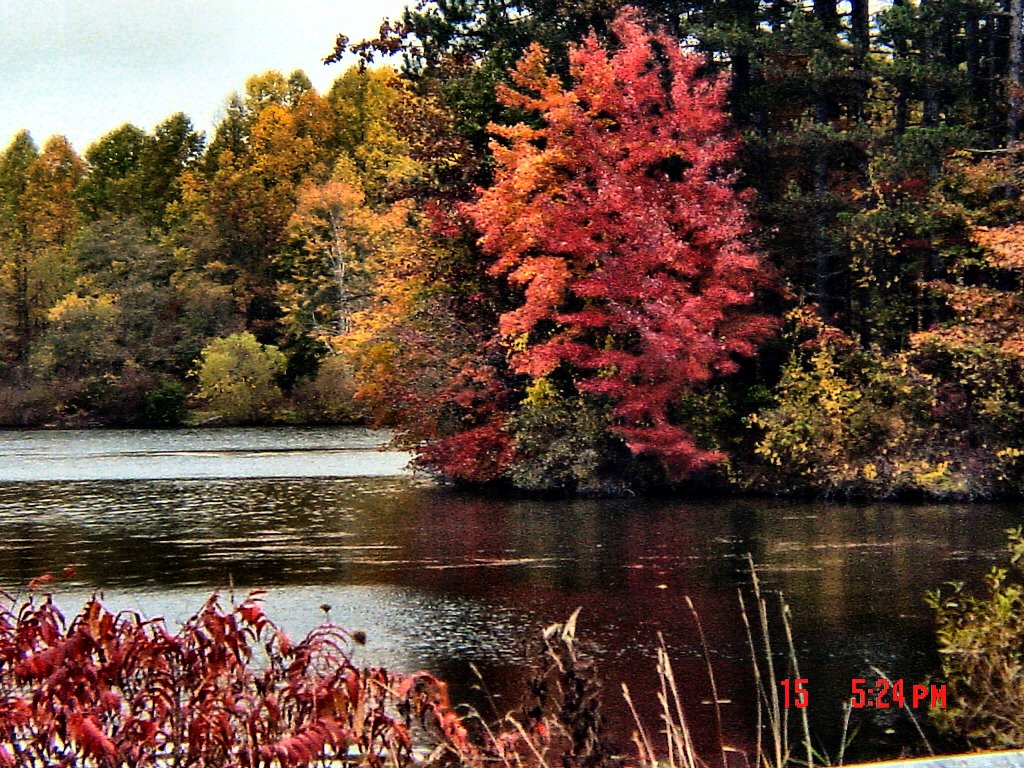 Nimisila Resevoir fall colors