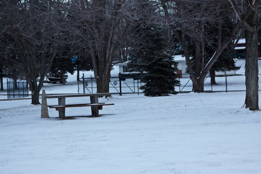 029/365: Winter Picnic [2010-01-29]