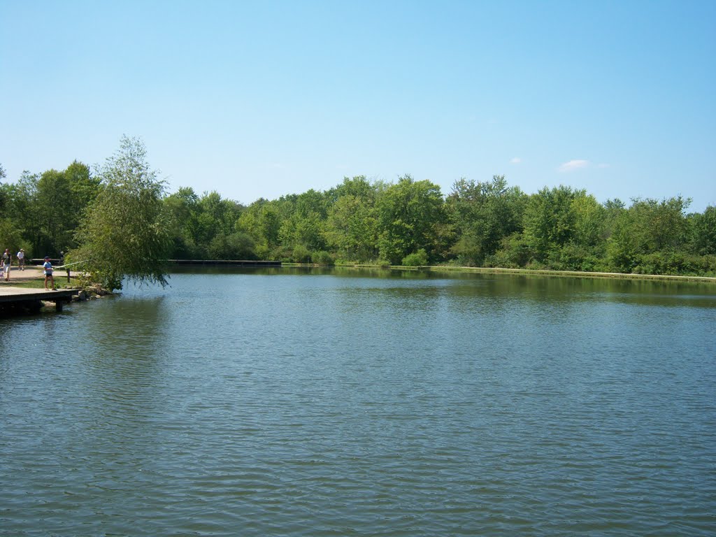 Little Turtle Pond at Firestone Metro Park