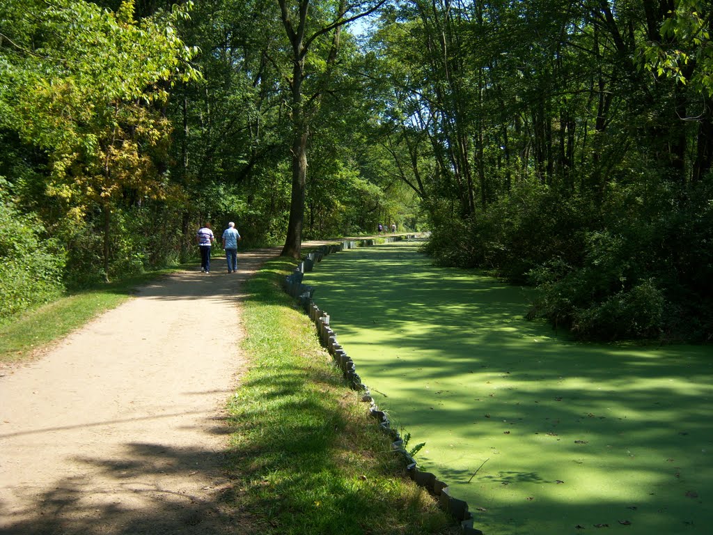 Walking along the green Ohio & Erie Canal