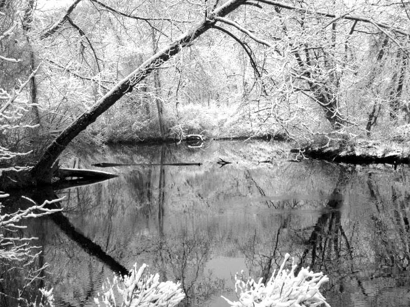 Last Snow and a beautiful snow