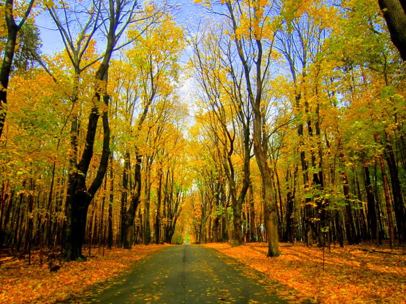 End of the trail...