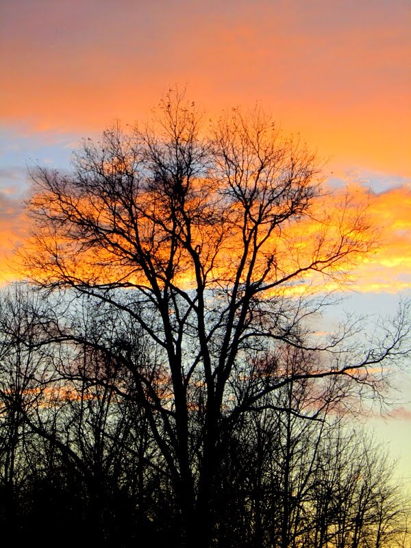 Hues of Winter
