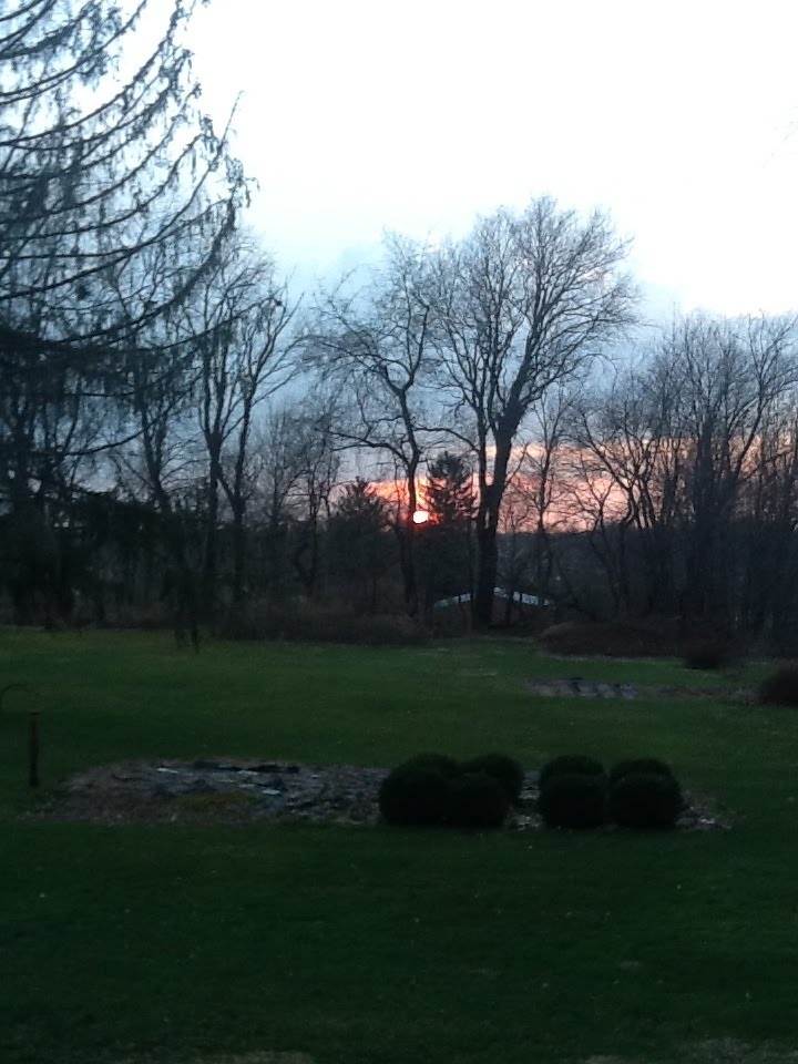 Warm sunset
