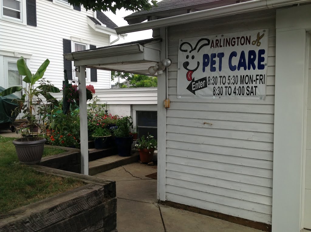 puppy grooming company