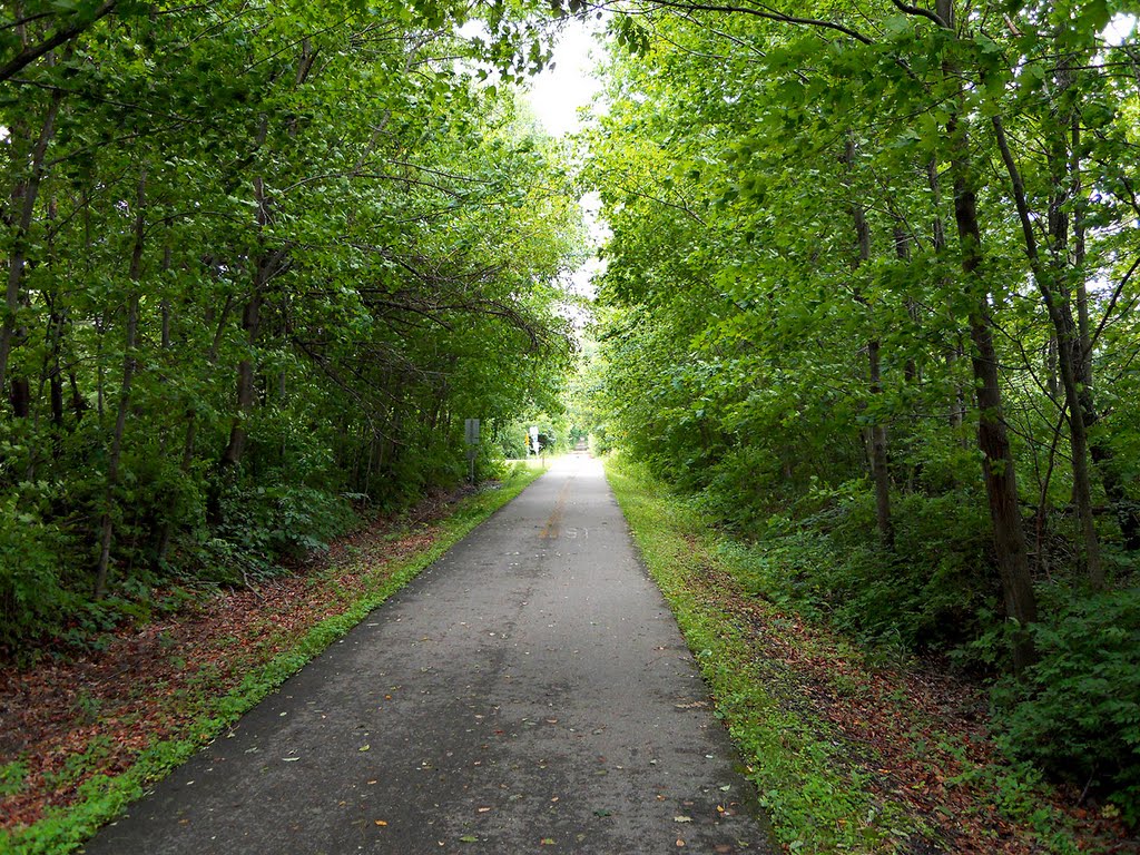 South to Hustead Road
